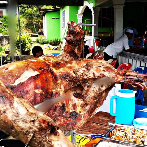 Kambing Golek Kluang