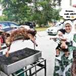 Kambing Golek Kempas